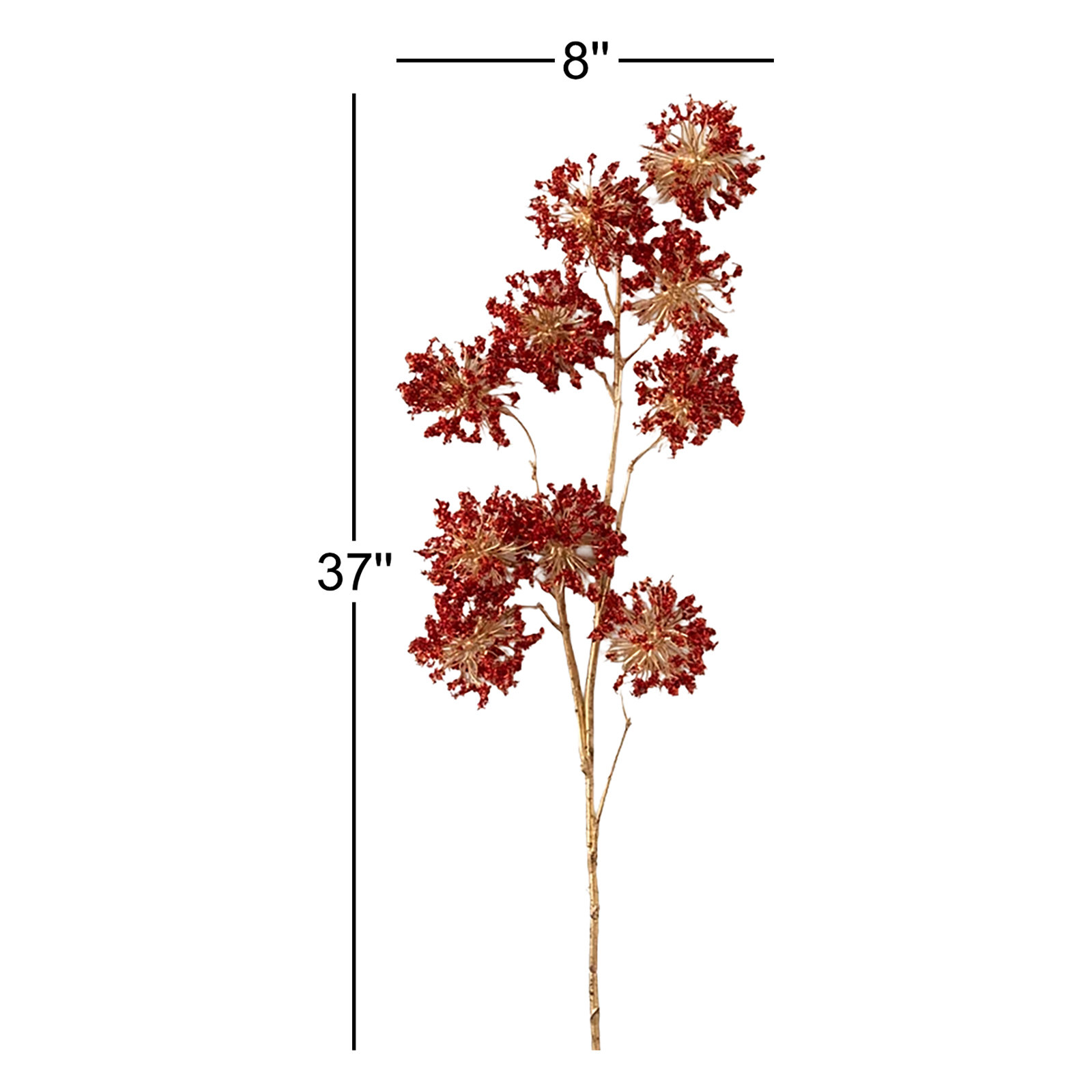 37" Ball Plant