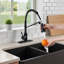 Robinet de cuisine avec accessoires FORIUS-61079016