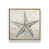 Érable