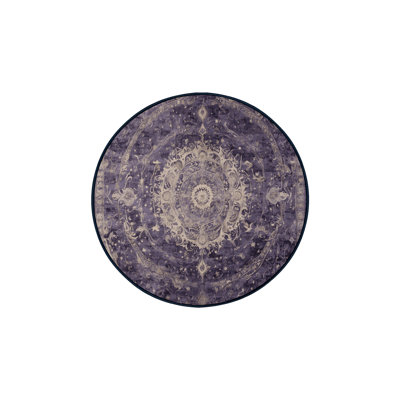 Machine Washable Purple Area Rug
