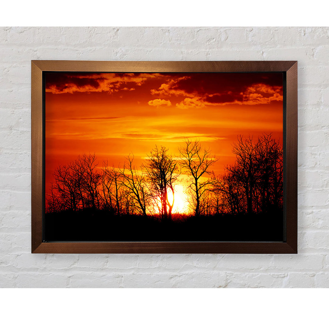 Orange Sunset Treeline Gerahmter Druck Wandkunst