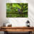 Brampt Mossy Tree Owl-108692416