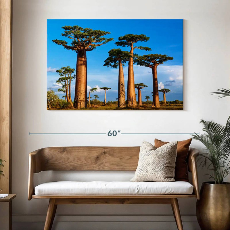 Morondava, forêt de Baobab, H 32 po x l 48 po