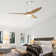 Nicola 56'' 3 - Blade LED Propeller Ceiling Fan with Remote Control and Light Kit Included