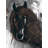Dark Brown Horse Print On Canvas