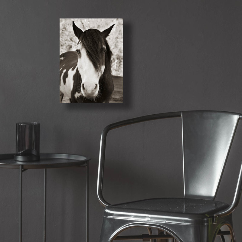 «Pale Eyed Stallion» par Traer Scott, H 16 po x l 12 po x P 0,13 po