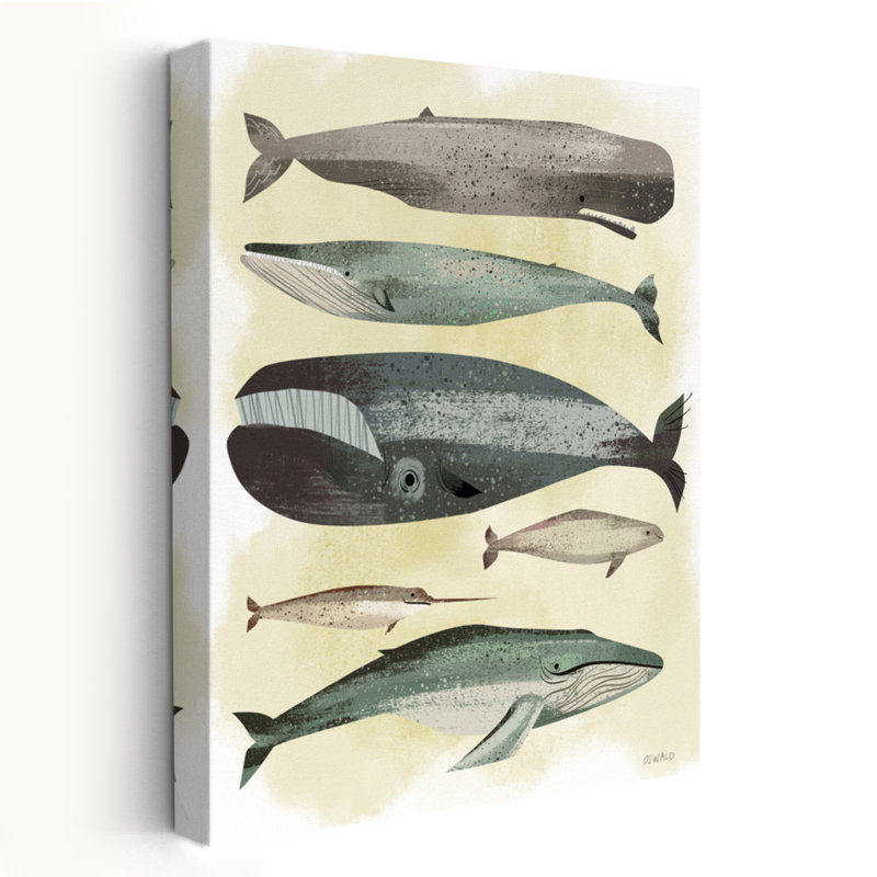 Baleines - Illustration d'animaux, baleines, H 36 po x l 24 po