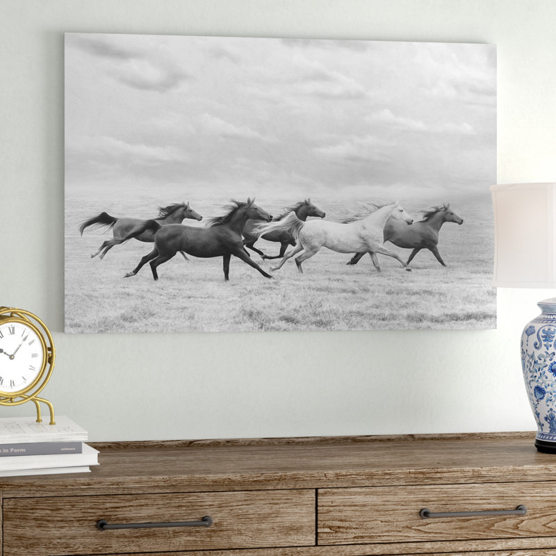 «Horse Run I» par PHBurchett - reproduction d'art sur toile tendue, H 32 po x l 48 po, Toile tendue, Sans cadre