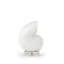 Nautilus Shell Small (White)-1567939957