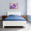 Plantes et fleurs, rose mauve, gros plan, impression d'art floral-1667518486-1667518483-1667518481