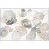 Blanched Print