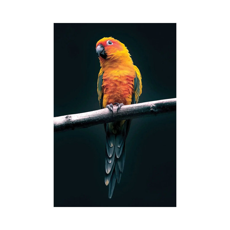 Parrot by Nikita Abakumov - Wrapped Canvas Print