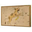 Lynx Framed Drawing Print-669743488-669743489