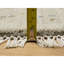 Tapis beige en laine et en soie noué à la main 11 pi 10 po x 11 pi 10 po 8CEE1486C71D47088DE0FD85AFE6660F