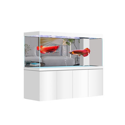 Simple Modern Rectangular Eco Aquarium Tank