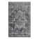Oriental Indoor Rug