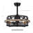 Rishel Caged Ceiling Fan with Remote Control