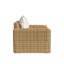 Playa Outdoor Lounge Chair