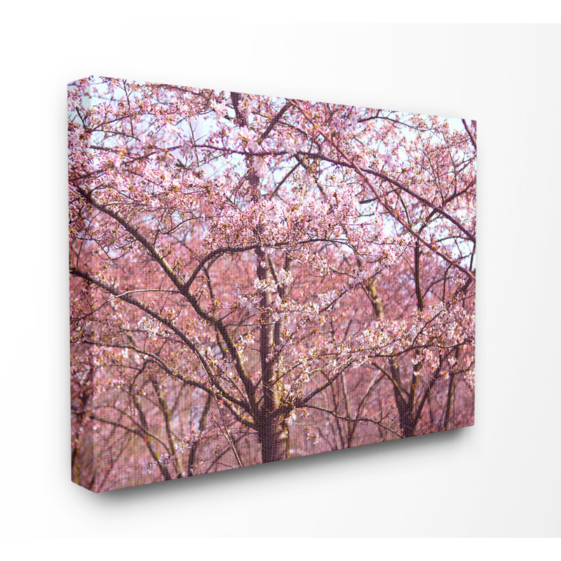 «Pink Sky Cherry Blossom Forest Photographie» par Frances Stpehnie, photographie, H 24 po x l 30 po x P 1,5 po, Toile tendue