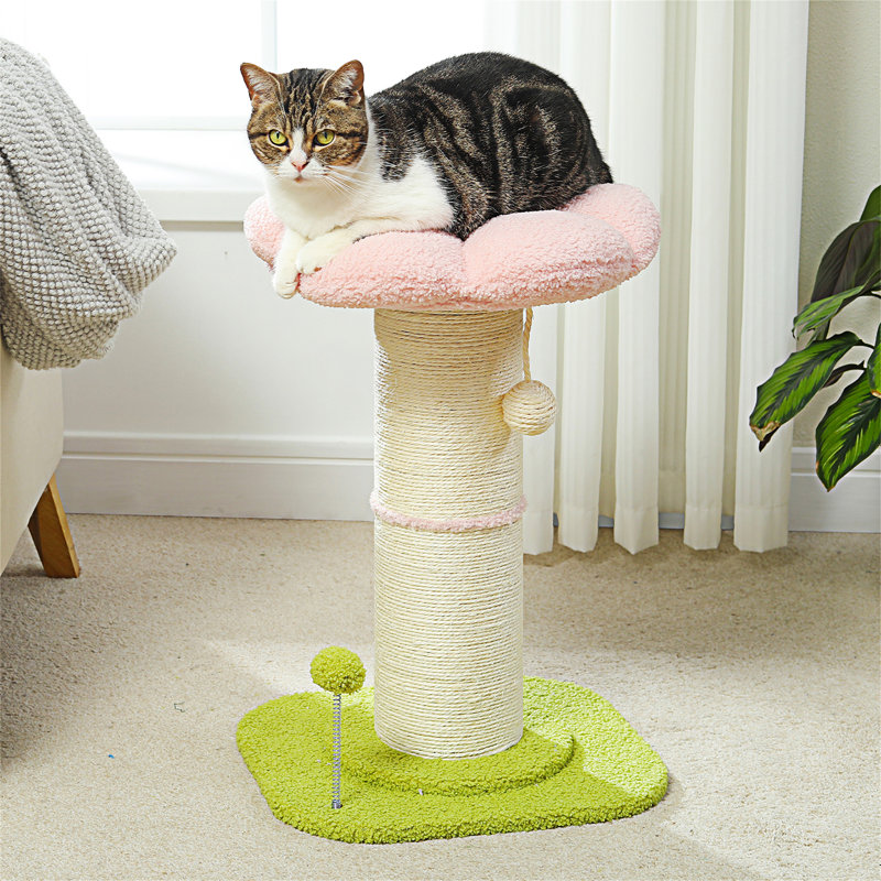 Cat Scratching Post With Spring Loaded Ball,Cat Condos & Cat Trees,Cat House,Cat Bed, Pink