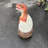 Raptor Dinosaur Hatching Life Size Statue