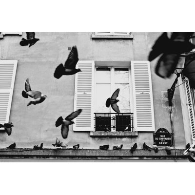 Pigeons by Zodebala - Wrapped Canvas Print