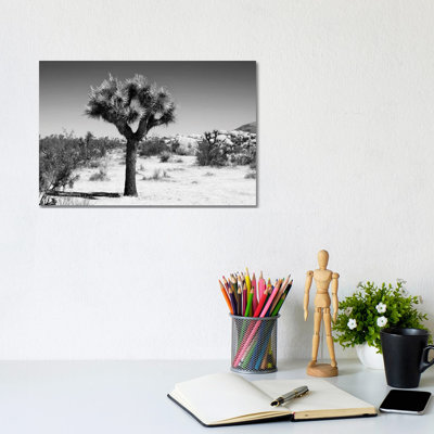 The Joshua Tree II by Philippe Hugonnard - Wrapped Canvas Print
