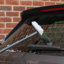 Daggna Squeegees-1484946465