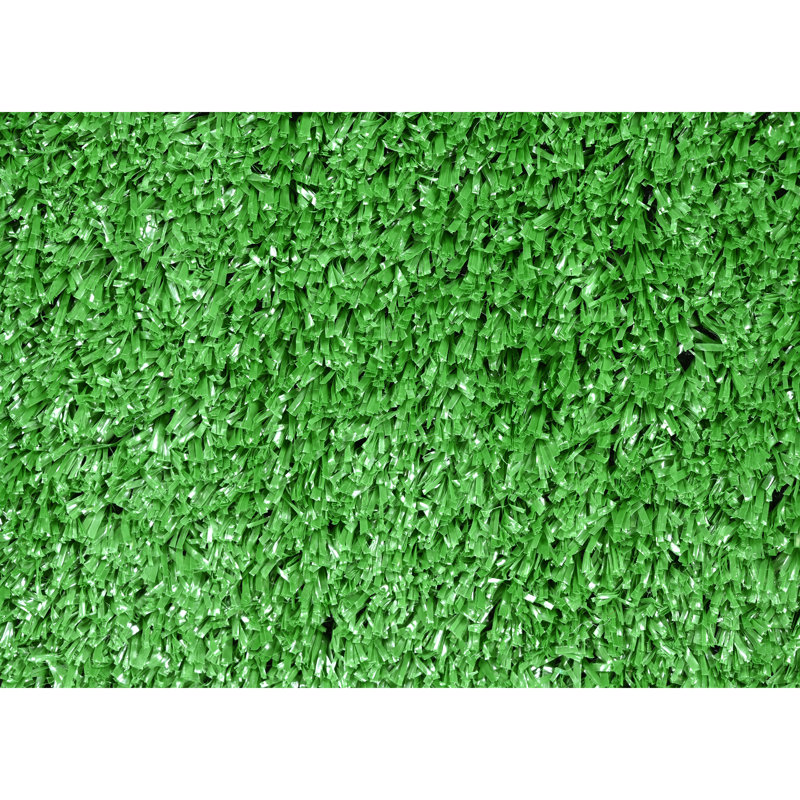 Ashkhen Indoor / Outdoor Rug, Rectangle 12' x 18'