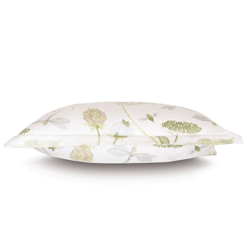 Carlotta Sham, Standard