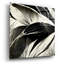 «Flowers Black White 2» par Ray Heere-2031006800