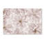 Fleur de cerisier translucide par Cora Niele - reproduction de photo sur toile-32708056