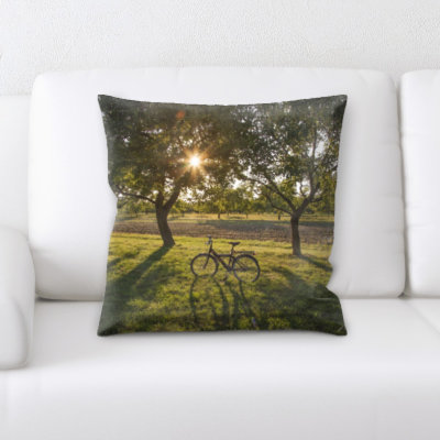 Coussin décoratif