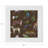 Exotix Cotton Sateen Dinner Napkins-124988528
