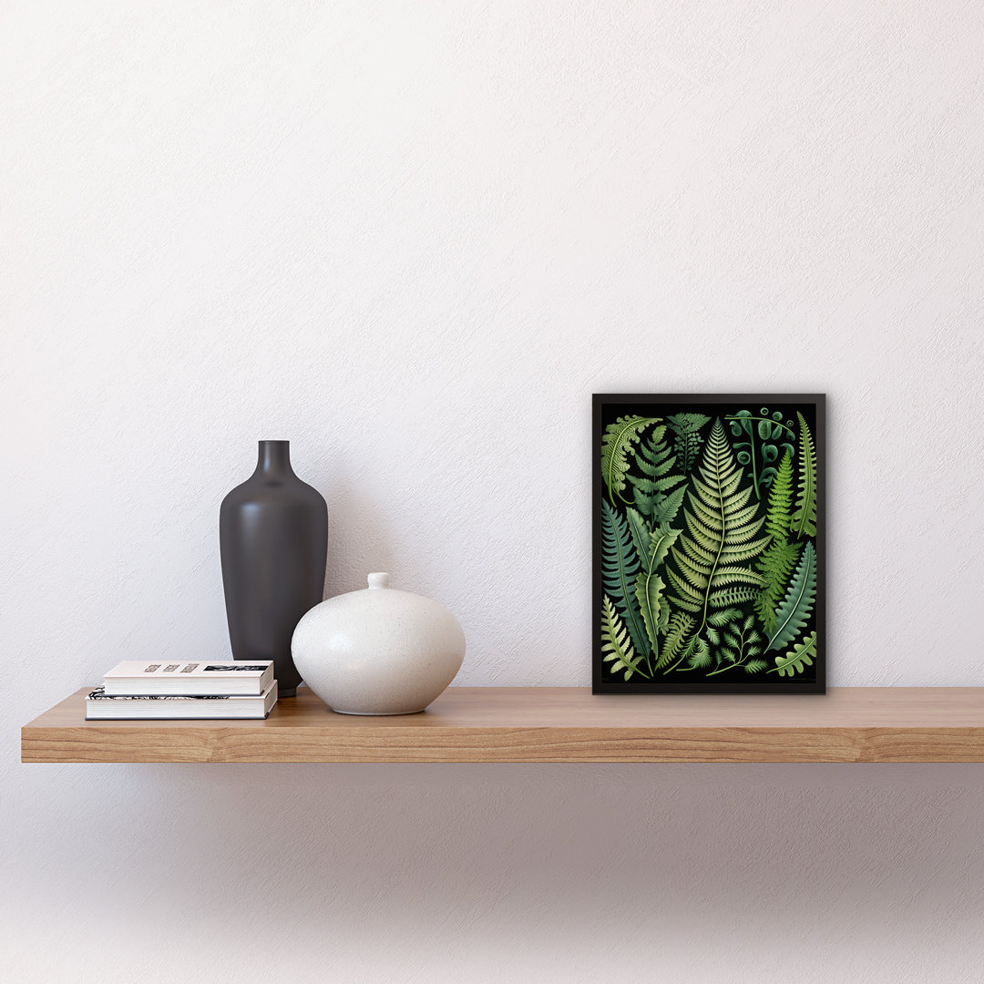 Ernst Haeckel Style Fern Fronds Leaf - Single Picture Frame Print