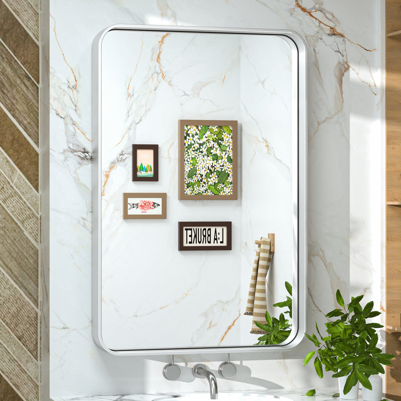 Miroir d'appoint Tyro, Argent, 30 po x 20 po, Rectangulaire