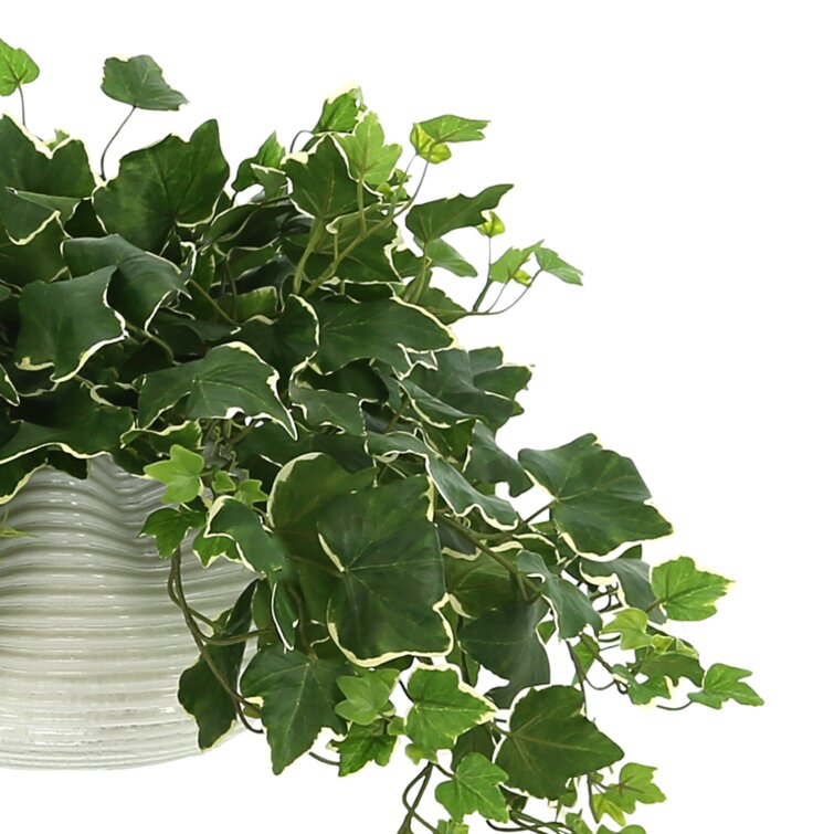 15 Artificial Mini English Ivy Hanging Bush