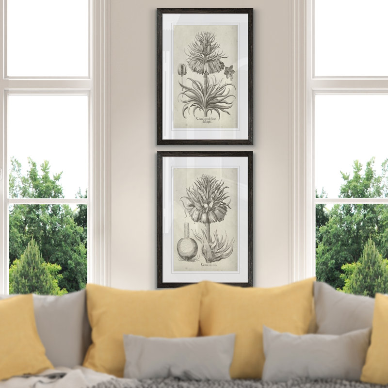 «Fresco Crown Imperial II», ensemble de 2 reproductions d'art encadrées, H 20 po x l 16 po x P 1,25 po, Blanc, Cadre ébène