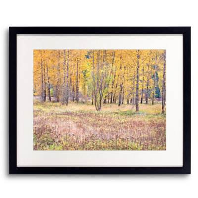Autumn Field and Tree Grove Print