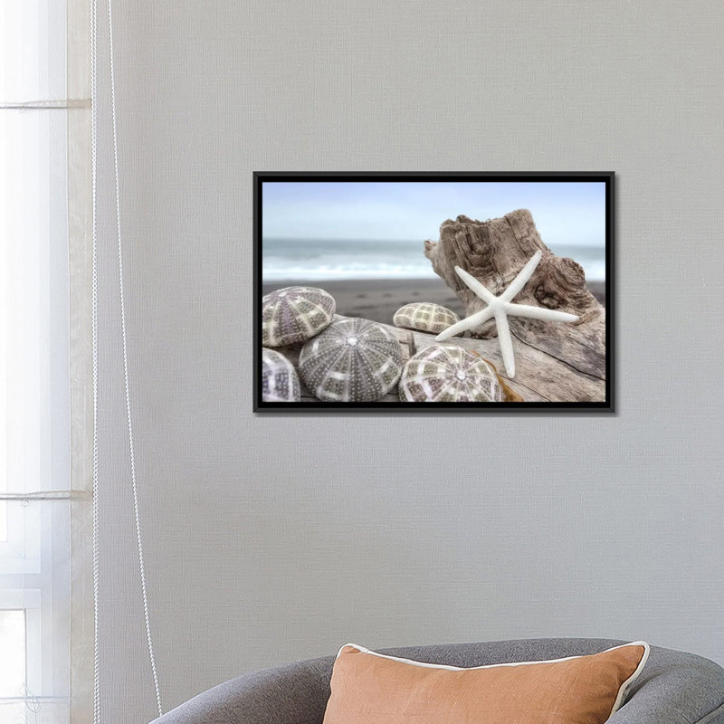 «Crescent Beach Shells V», reproduction de photo sur toile, H 18 po x l 26 po x P 1,5 po, Toile avec cadre noir, Pas de tapis