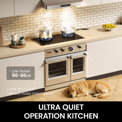 VENFAN 30 in.1200 CFM Under Cabinet Range Hood in Stainless Steel with Gesture Control & Delay Shutoff