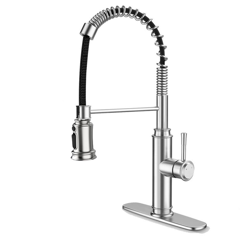 Landolt Pull Down Kitchen Faucet