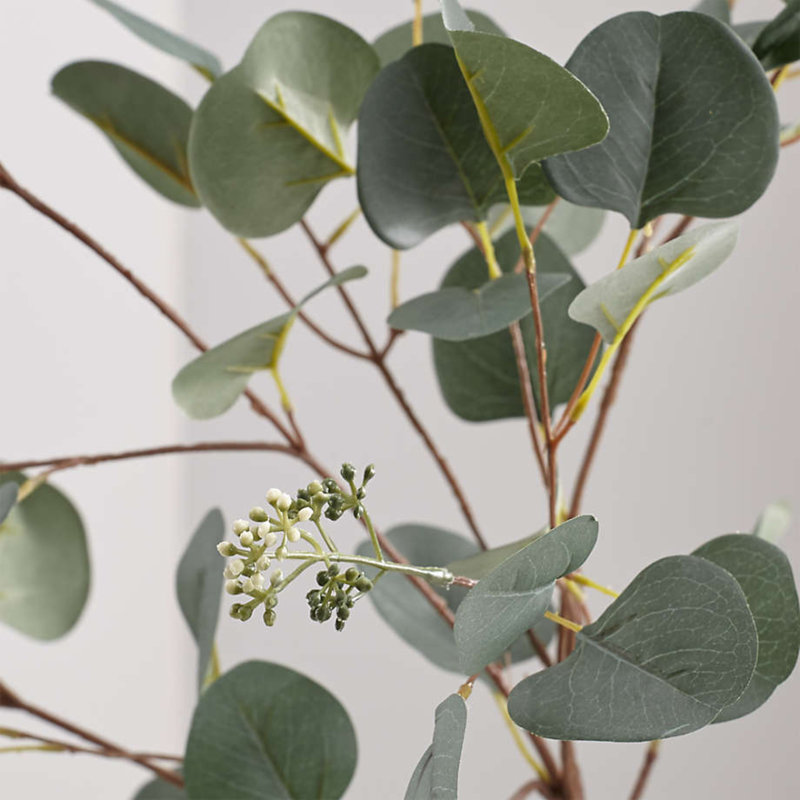 Arrangement floral de baies d'eucalyptus