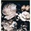 Dusted Floral Print by Lillian August