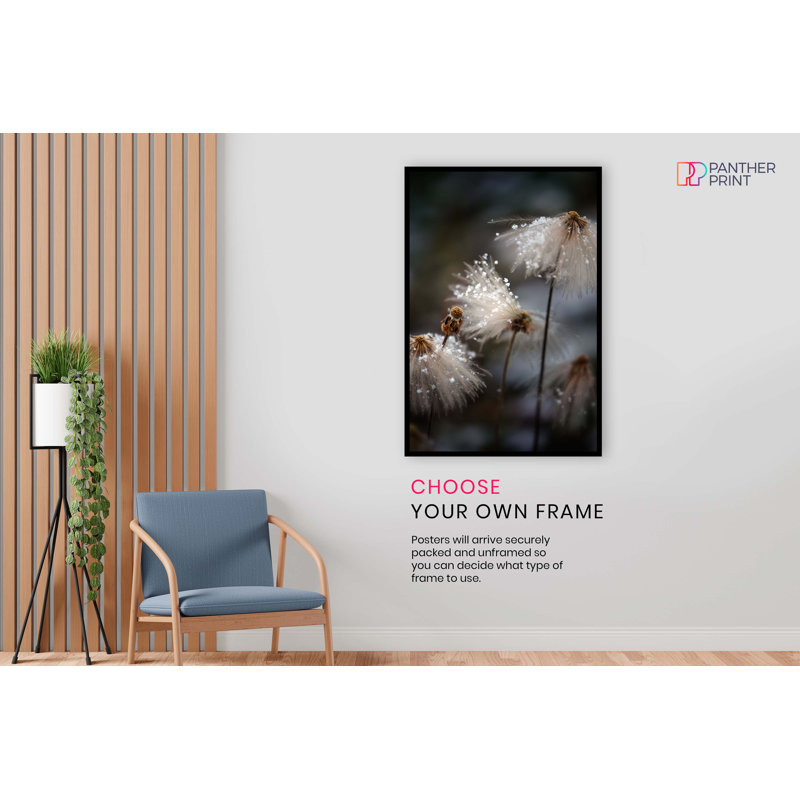 Dandelion Covered In Snow - No Frame Print, 31cm H x 20cm W