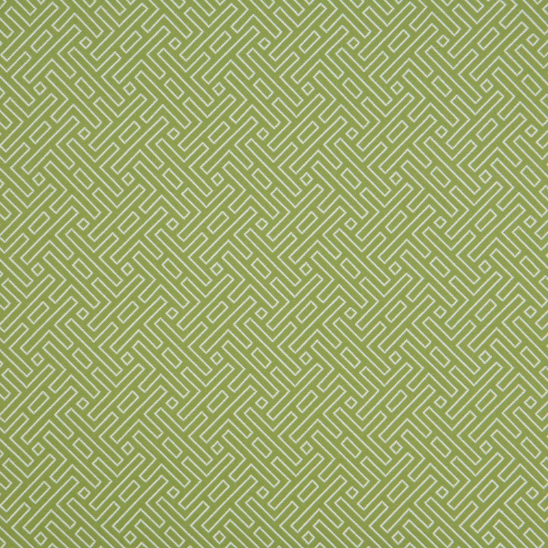 Holiday Cato Fabric