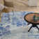 Frodsham Abstract Indoor Rug