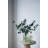 Glass Vase