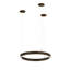 Anillo 10 - Light Chandelier