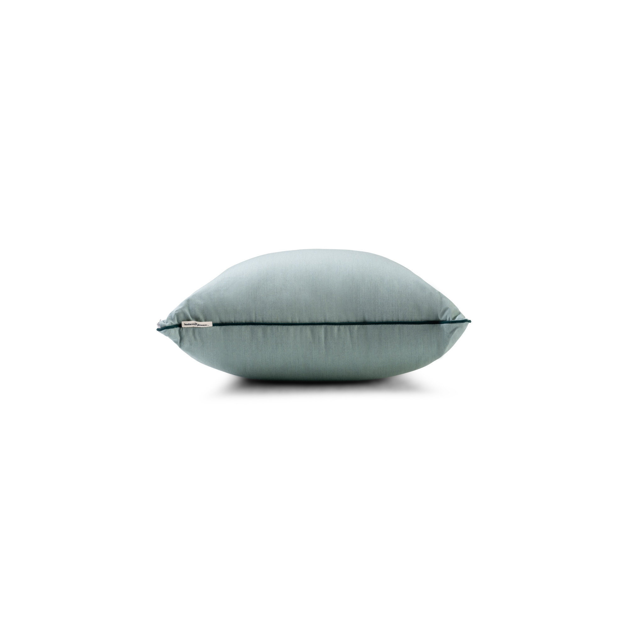 Rivie Pleasuretex™ Indoor/Outdoor Throw Pillow, Green, 26"H x 26"W